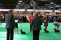 Crufts2011_2 918